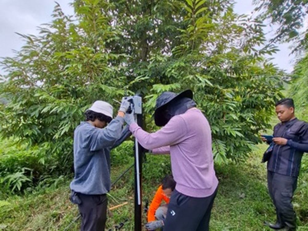 Team driving a sensor post into the ground beside a durian tree