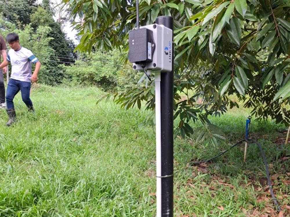 LinkUp sensor unit mounted on its post under the canopy