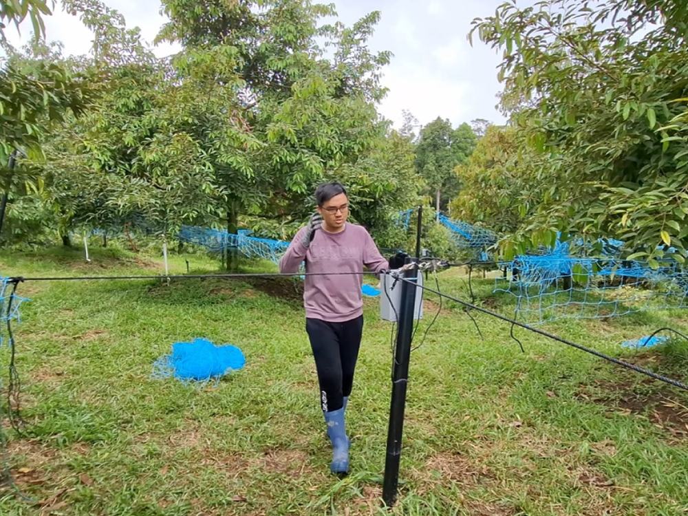Engineer walking through a block of installed smart nets